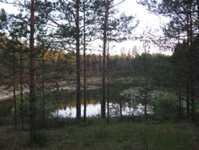 IMG_1549.jpg