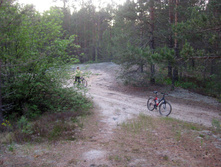 IMG_1552.jpg