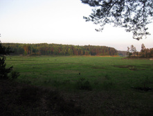 IMG_1566.jpg