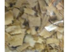 100024385.jpg