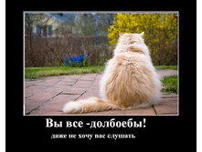 1222891357015.jpg