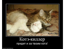 326247_kote-killer.jpg