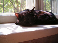 Sleep Time