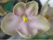 20110409_2.jpg