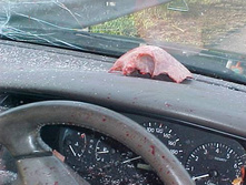 jalan800.jpg