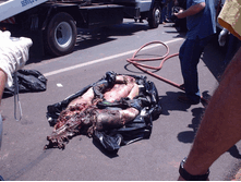 image010.gif