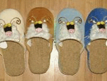 image048.gif