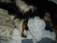 IMGP0971.JPG