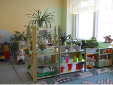 DSCN4558.JPG