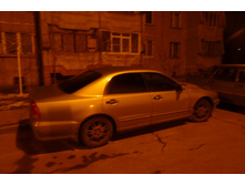P1010032.JPG