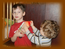 DSCN4515-1.jpg