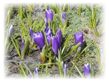 DSCN4821-1.jpg