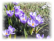 DSCN4824-1.jpg