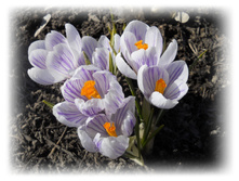 DSCN4848-1.jpg