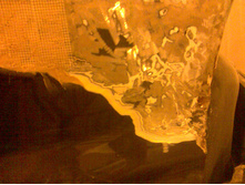 DSCN8216.jpg
