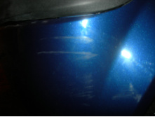 DSCN8541.JPG