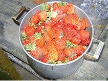 DSC00905_vk.JPG