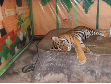 SDC11923.JPG