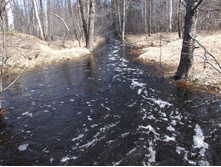DSCF7189.JPG
