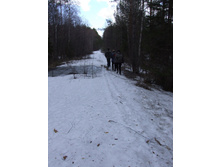 DSCF7203.JPG