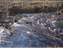 DSCF7209.JPG