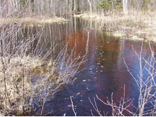 DSCF7214.JPG