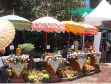 SDC12249.JPG