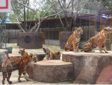 SDC12006.JPG