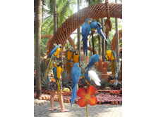 SDC11793.JPG