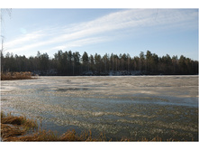 DSC_6945.jpg