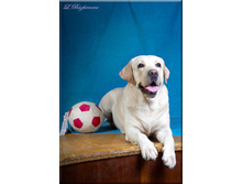 DSC_1848mini.jpg