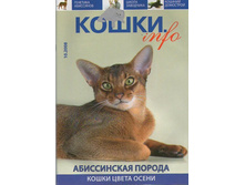 img107.jpg