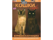 img110.jpg