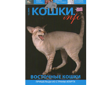 img117.jpg