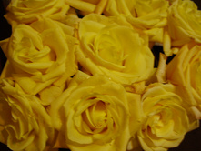 PB230047.JPG