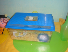 DSC03572.JPG