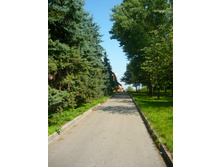 P1000920.JPG