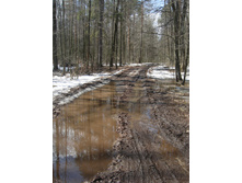 DSCN3456.JPG