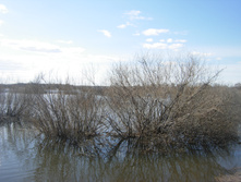 DSCN3472.JPG