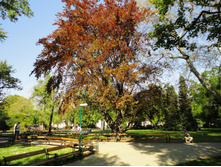 DSC02415.JPG