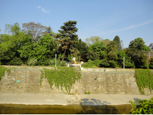 DSC02490.JPG