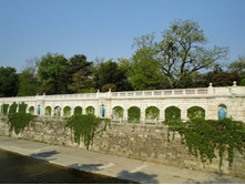 DSC02497.JPG