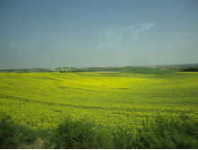 DSC02512.JPG