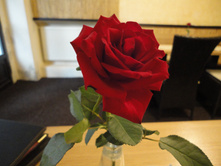 DSC02760.JPG