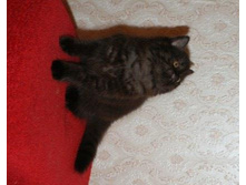 DSC00122.JPG