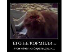 84a9d12360.jpg