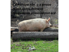 IMG_7742.JPG