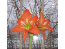 HPIM5781_0.jpg