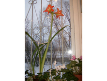 HPIM5784_11.jpg