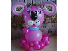 IMGP0002.JPG